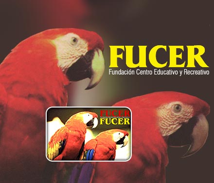 Tarjeta Fucer